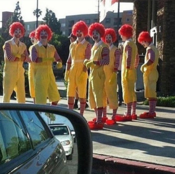 I found these guys on my porch after coming from Burger King, wonder what they're up to
