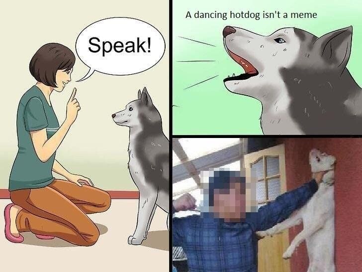 This is where your wrong doggo
