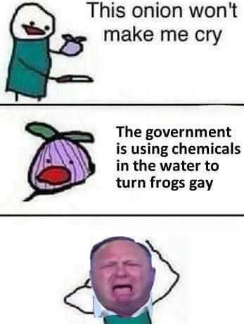 the frogs are gay!