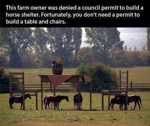 Horse Shelter.....