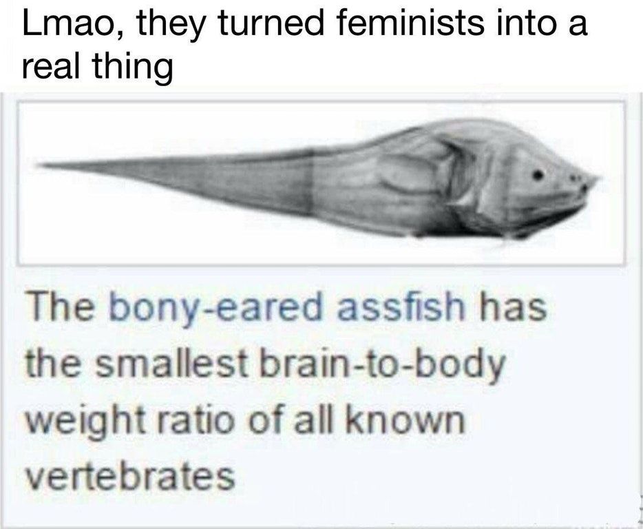 ultra relevant title