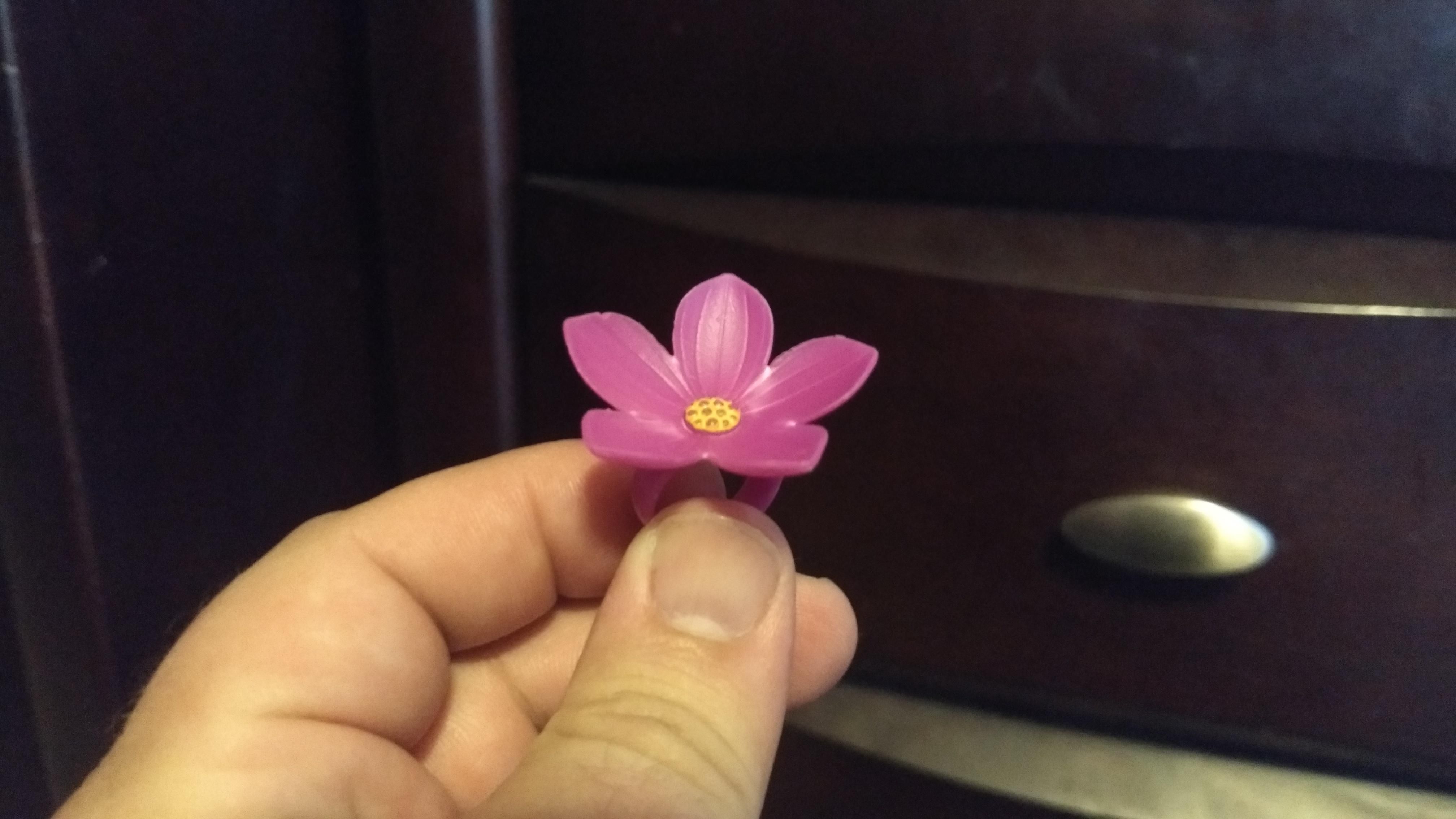 My daughter handed this ring to me today and said, "Take this with you to work so you can look at it all day and remember how much I love...flowers."