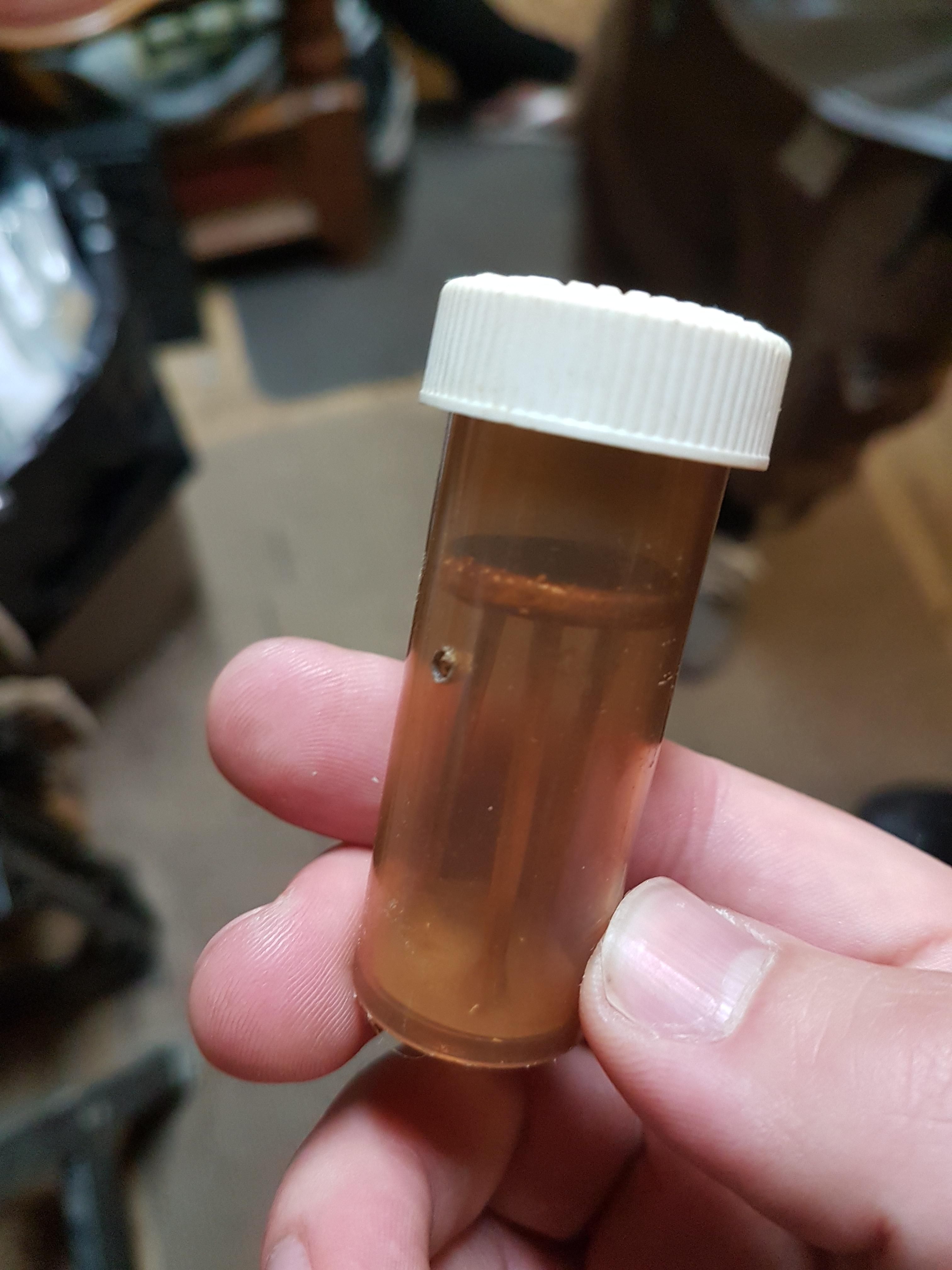 My brother hands me this last night. Apparently it was my grandfather's. It's his stool sample.