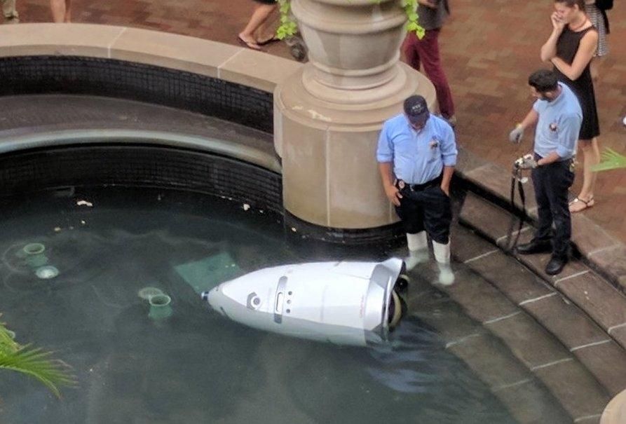 Security robot in DC declares everything is ok. Drowns itself.