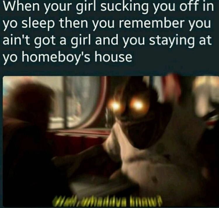 No_Homo_Bro