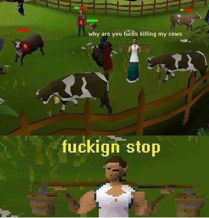 ***ing stop