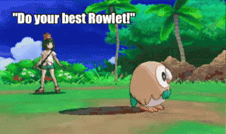** Something Something Dr Eevee **