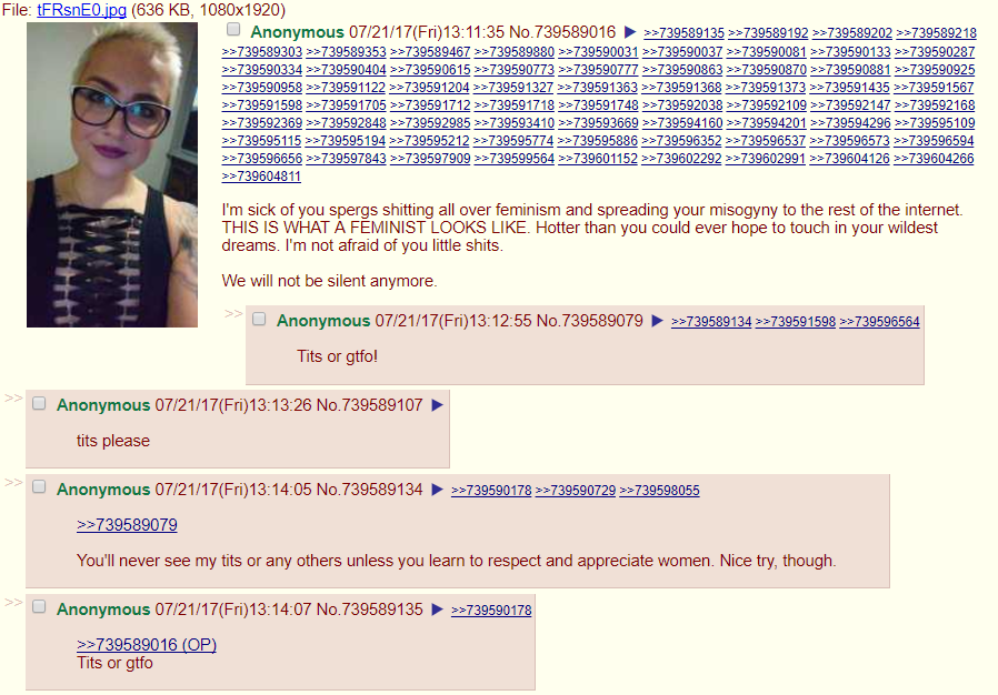 Feminism vs 4chan
