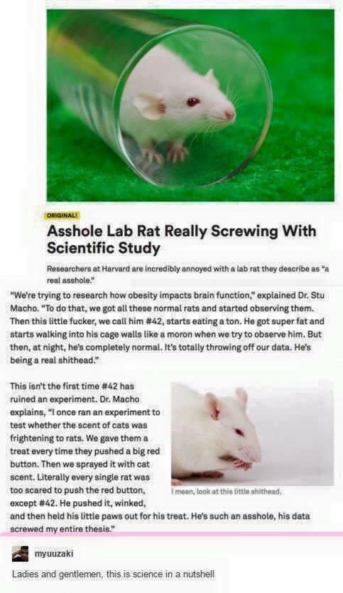 *** Rat screws with science