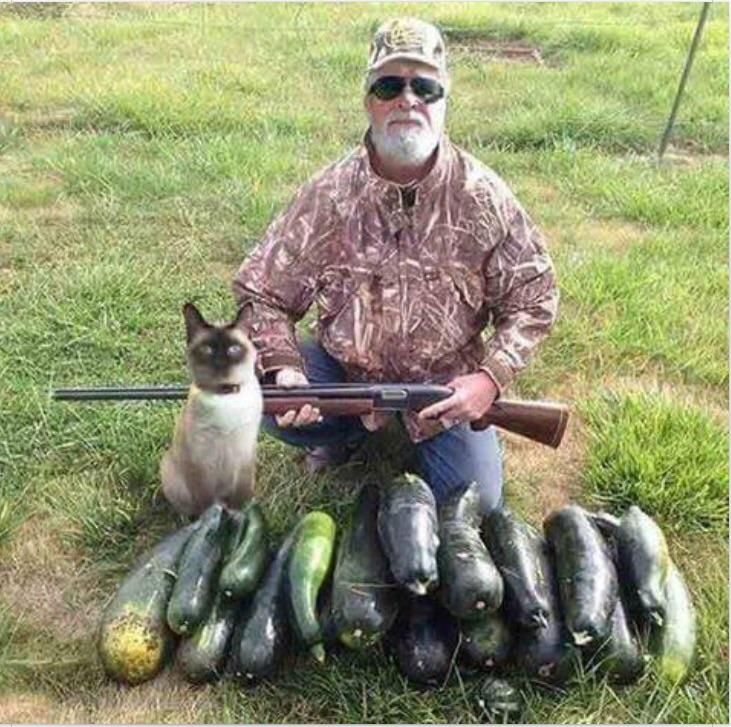The vegan hunter