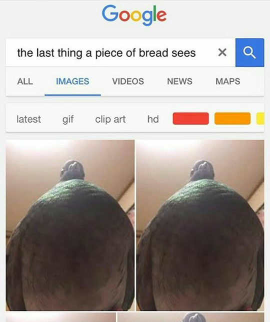 The last thing a piece of bread sees.