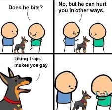 trap post 2