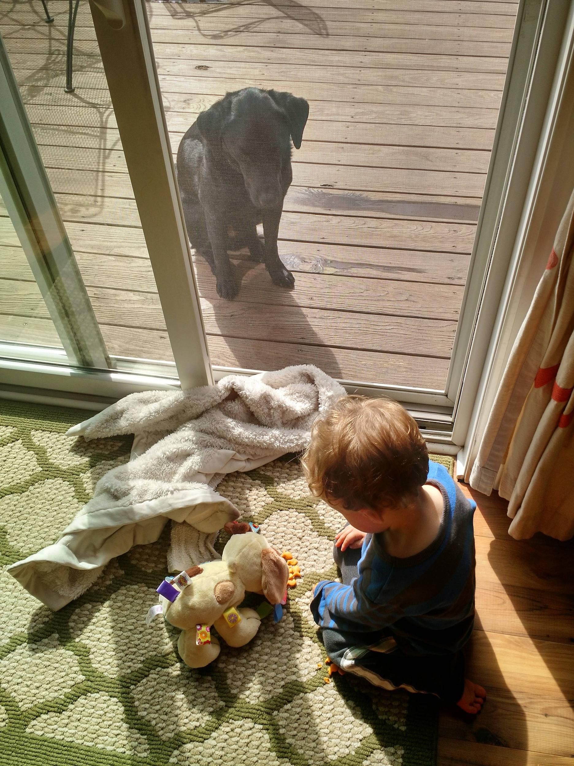 Feeding his fake dog goldfish while his real dog sits outside, pissed.