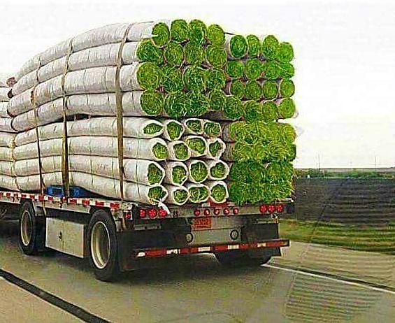 Good to see Snoop Dog's morning delivery is on schedule