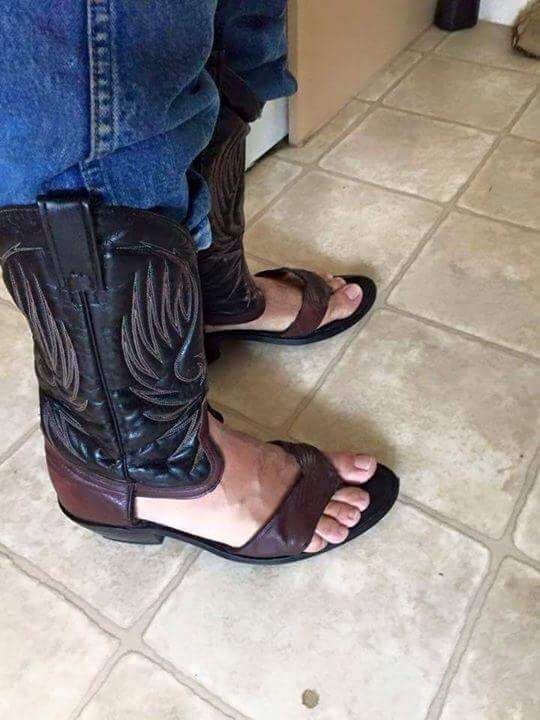 wot in tarnation