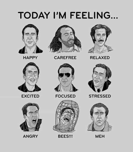 Today I'm Feeling...