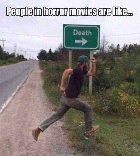 People in the horror movies are like.............