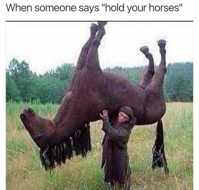 Hold your arses