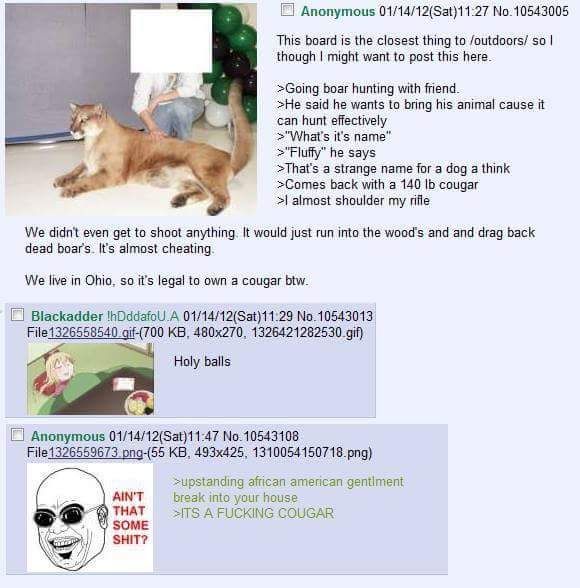 Anon gets a cougar