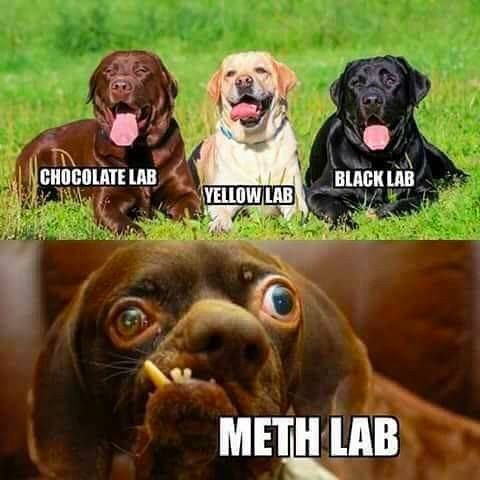Meth Lab