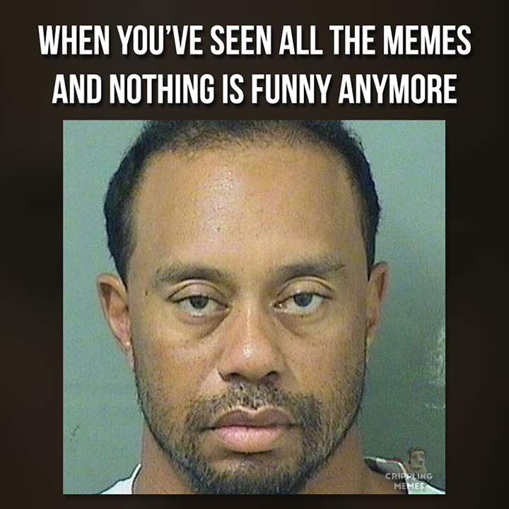 The only memes I haven't seen are ambient deep retro dark ones