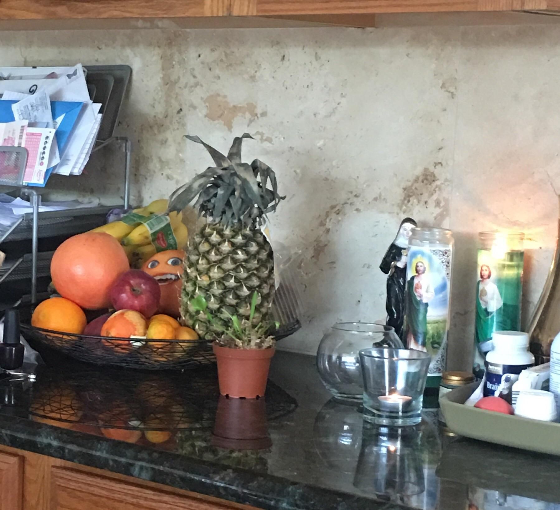 Was having coffee in the kitchen when I look up to the fruit basket....