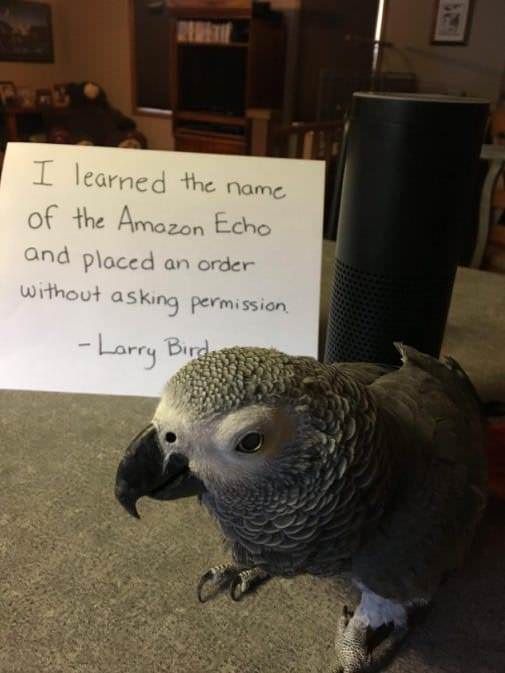 Larry Bird is a dick