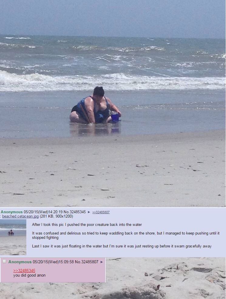 Anon saves sea life