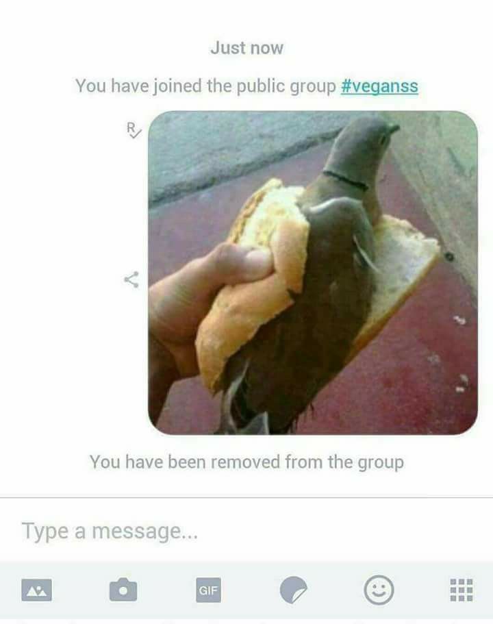 im vegan