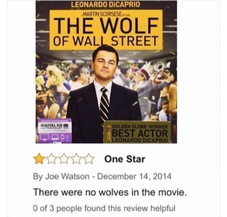 The best movie review of all time.