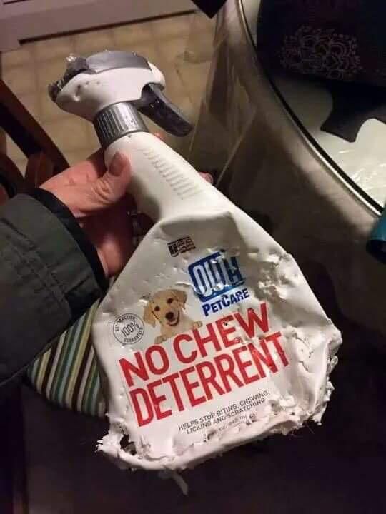 "No chew deterrent"