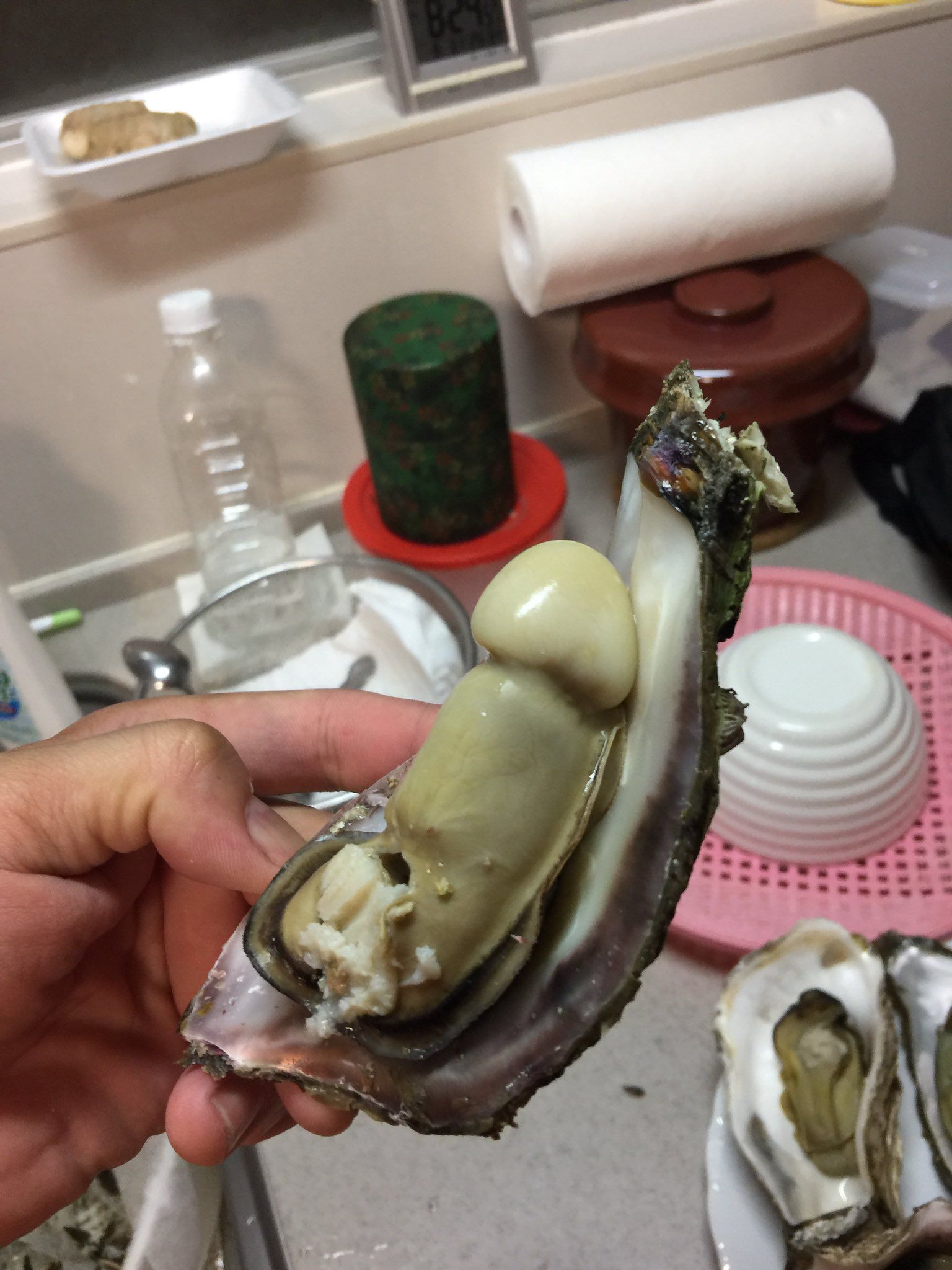 Daddy, I don't want to eat my oyster...
