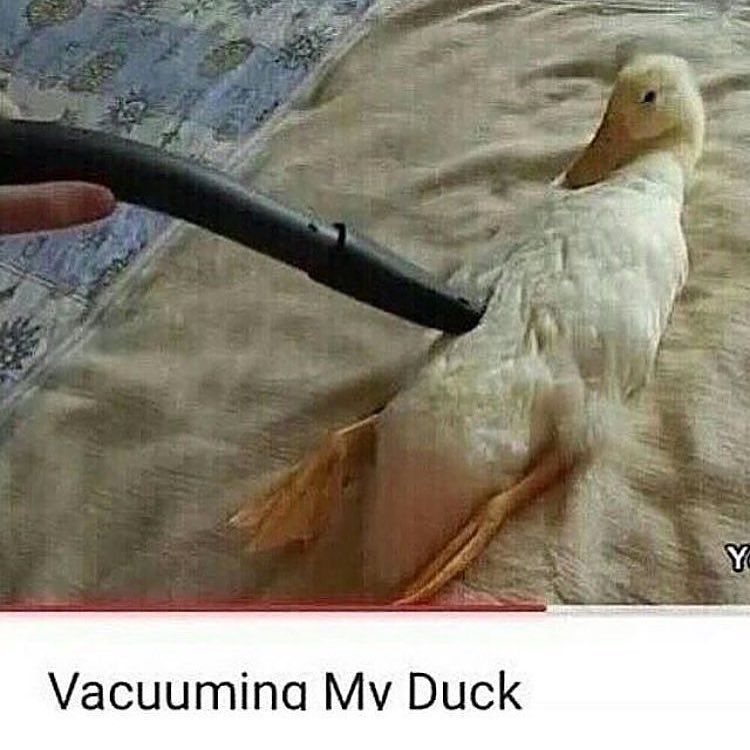 Mature