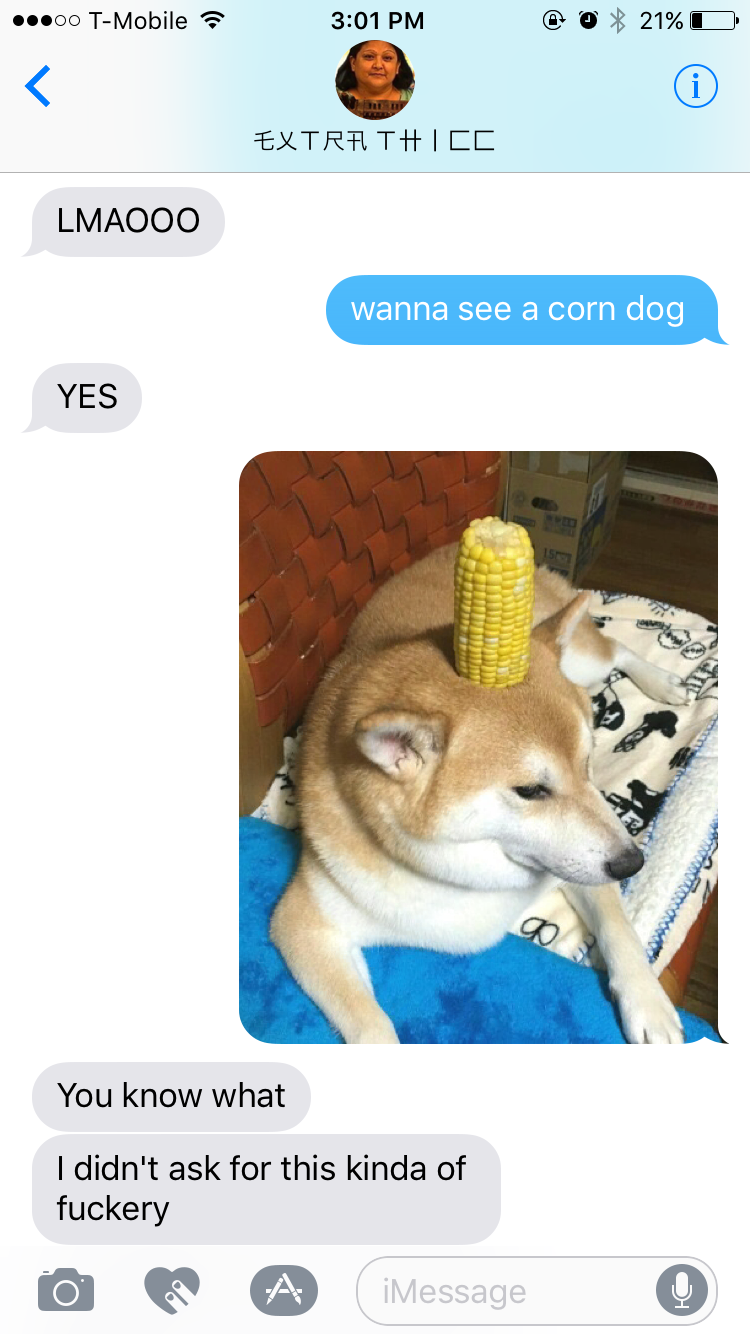 Corn Doggo