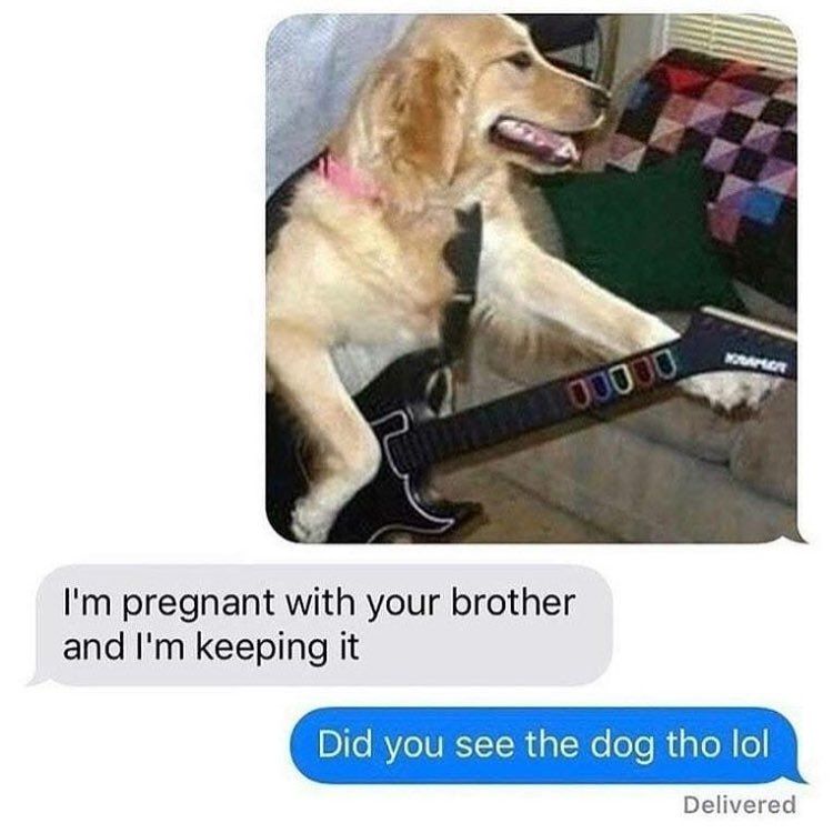 Doggo with autism