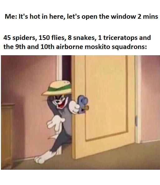 Let's open windows