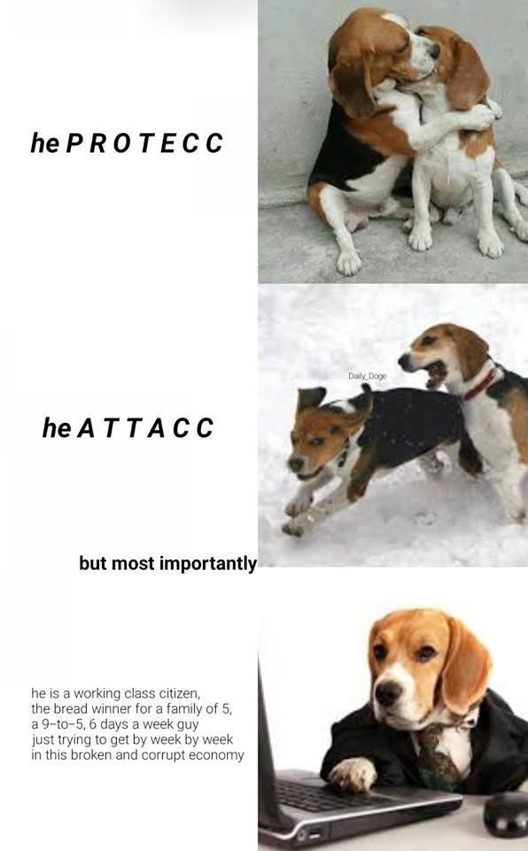 He can't doggo sadly