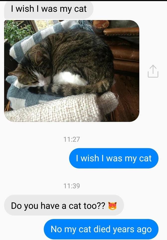 I'll join you soon kitty