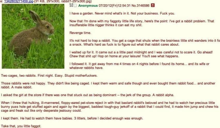 anon cucks a rabbit