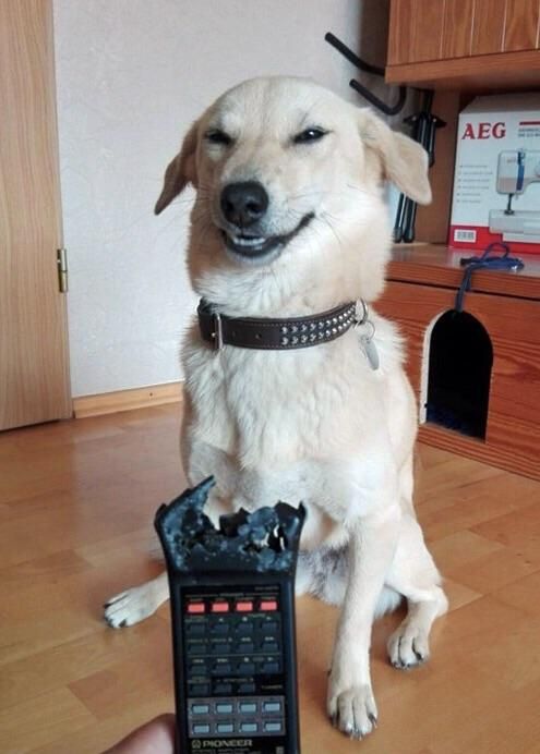 He's not even remotely sorry