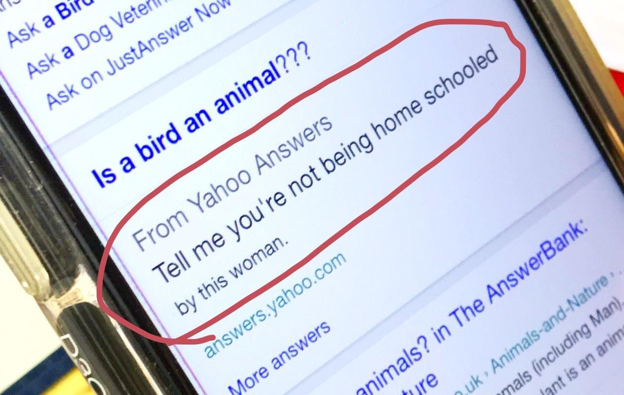 My mum tried to tell me Birds weren't animals this is what the internet said