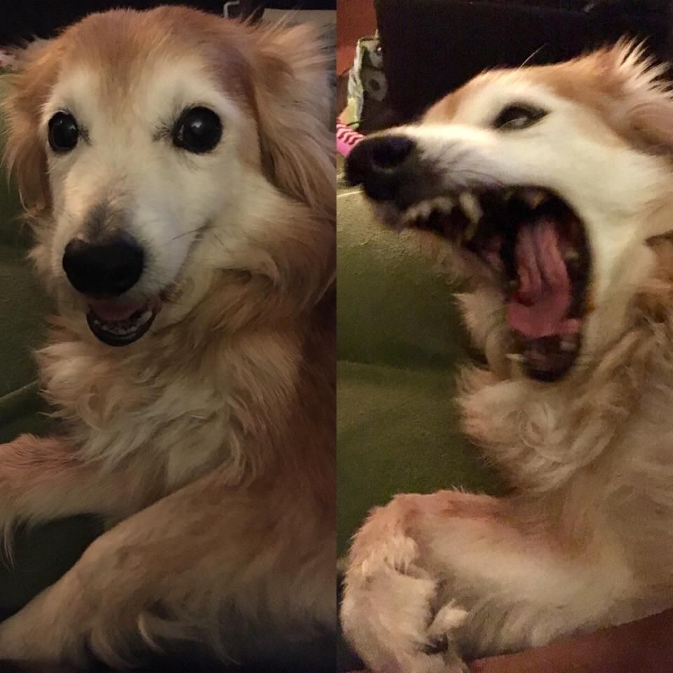 Before and after I told her she was a good girl