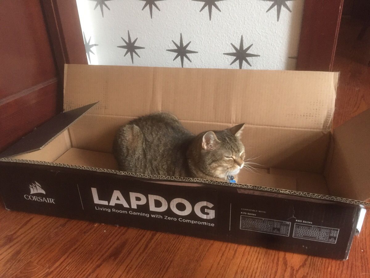 Totally not what I ordered.