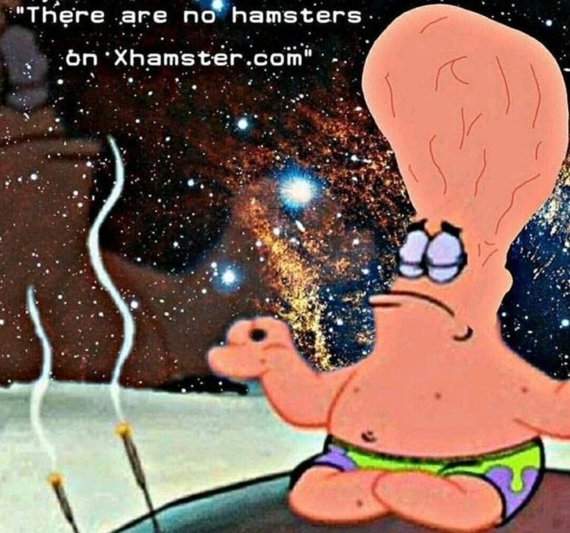 xhampster