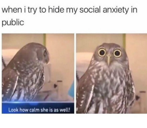 Everything is normal. I am fine.