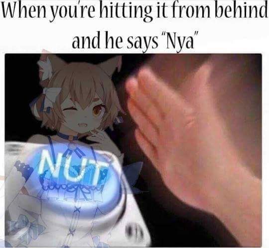 AllGoodGuy, this one is for you... cause you gay