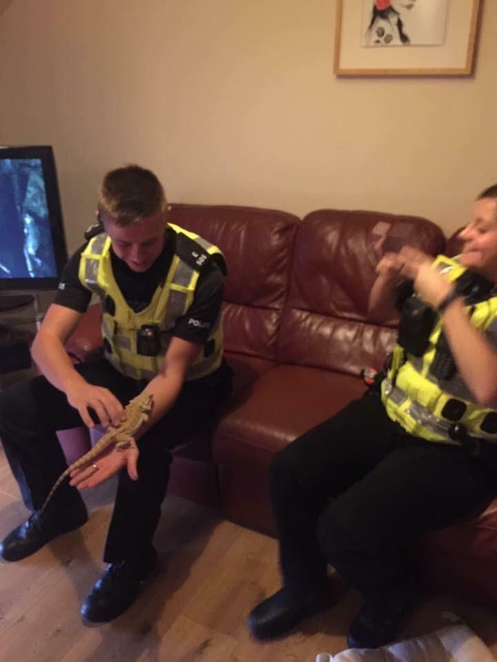When the police rock up at your house and they are more interested in your bearded dragon than you.