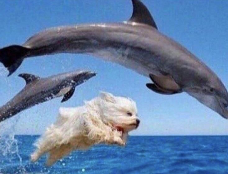 When you're drunk af and start making friends with everyone