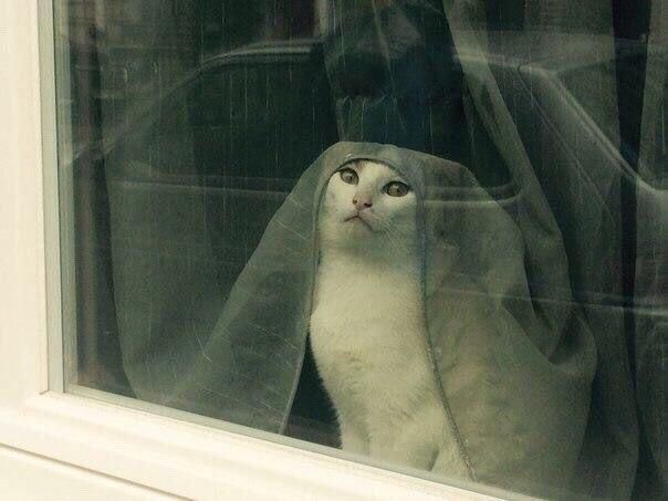 "Tell Cersei. I want her to know it was me."