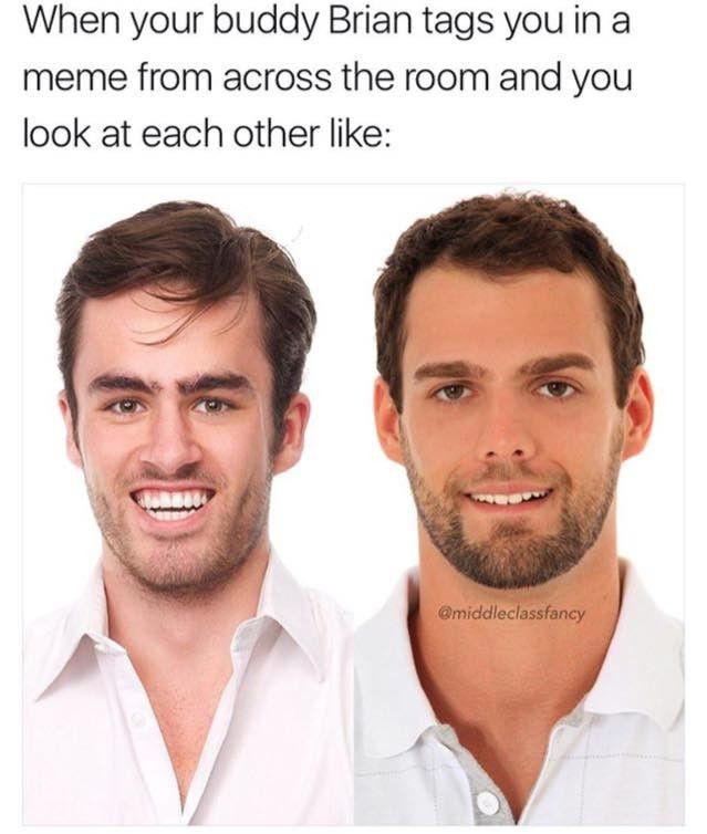 Stop it brian